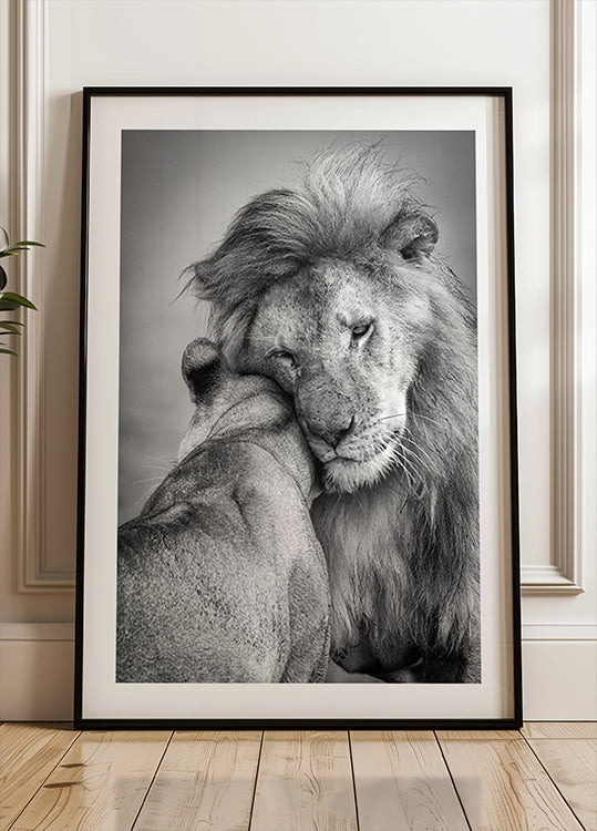 African Love! Poster