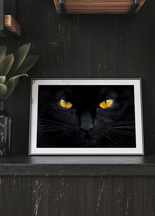 The hypnotist of the night