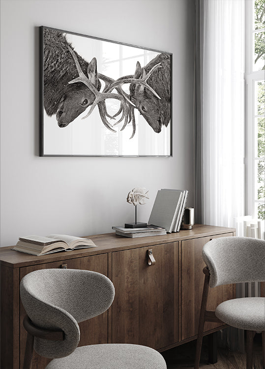 Eye to Eye - Elk fight Poster