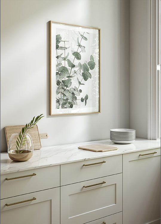 Eucalyptus No.2 Poster