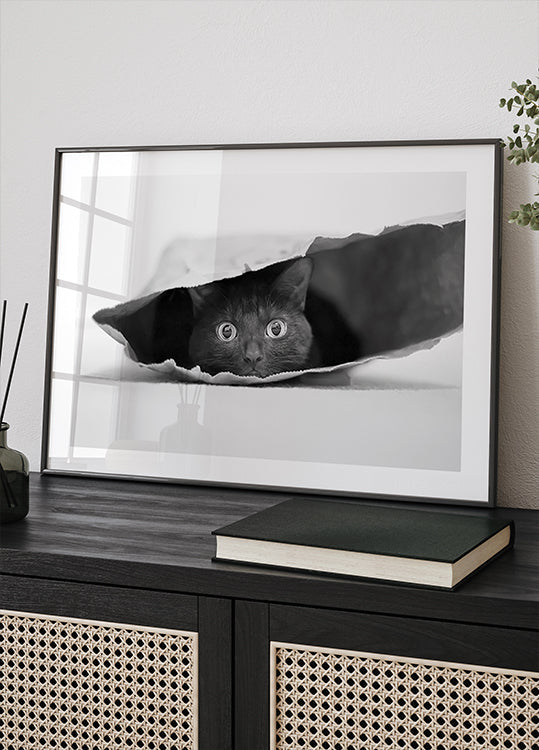 Cat in a bag Poster