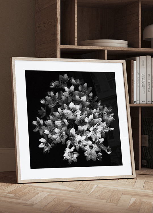 Early Sensation Poster