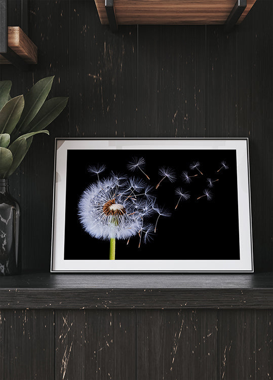 Dandelion Blowing Poster