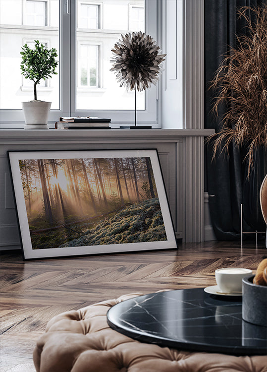 Fog in the forest with white moss in the foreground Poster