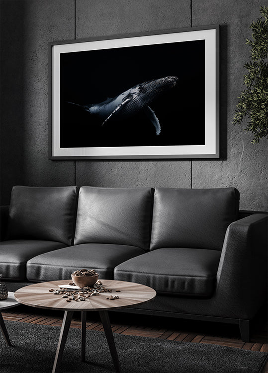 Black & Whale Poster