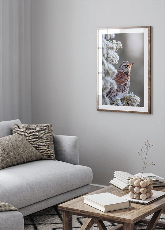 Fieldfare in a winter setting Poster