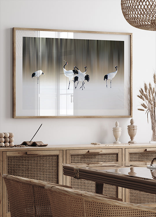 Red-crested white cranes Poster