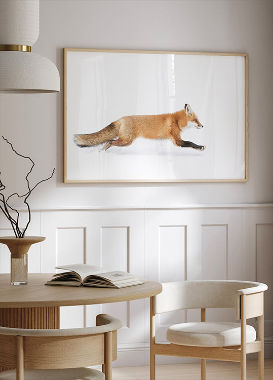 Red Fox on the run - Algonquin Park Poster