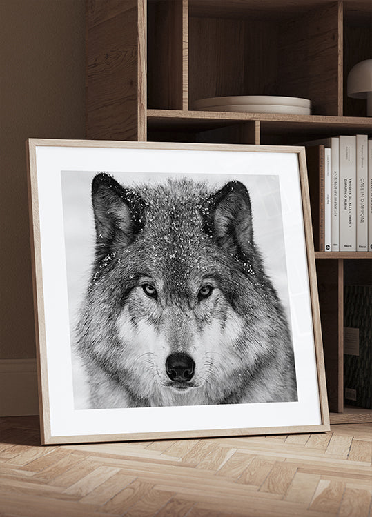 Wolf Portrait Posters