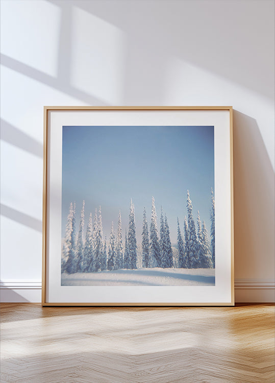 Winter Pines Poster