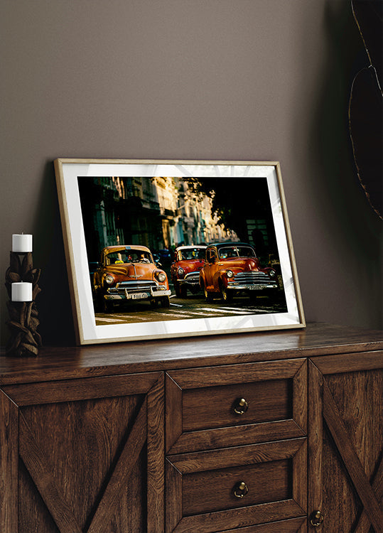 Come with me in the morning light