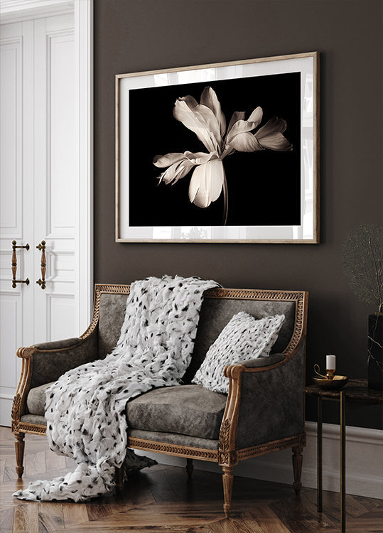 Tulip Exotic Emperor Poster