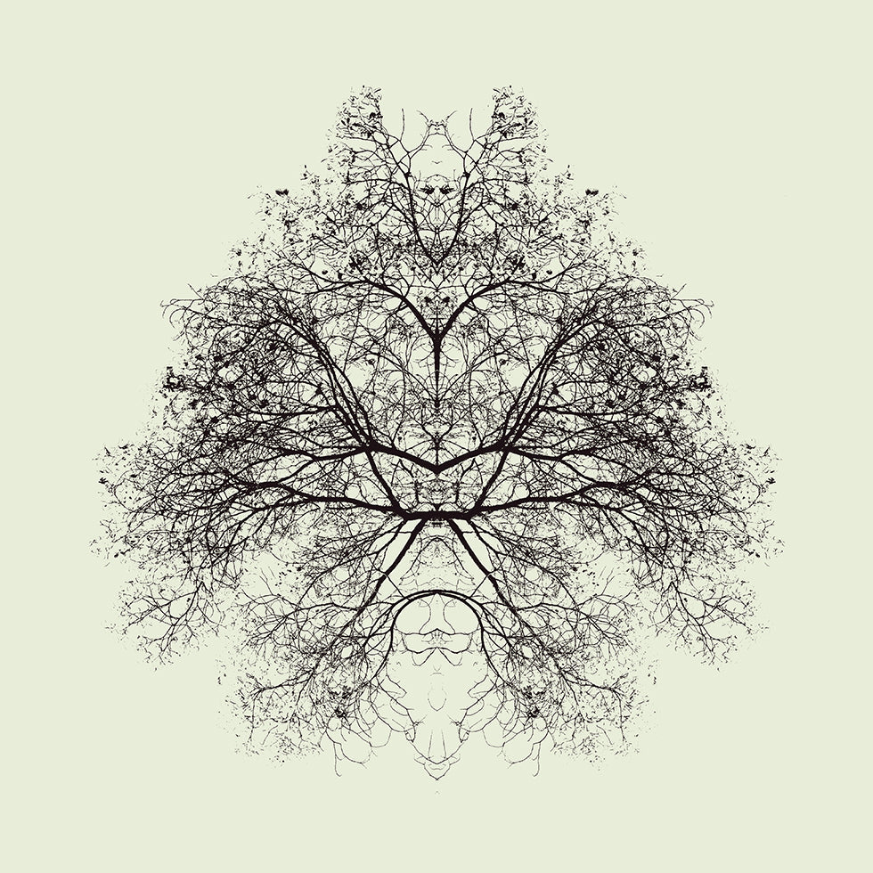 Rorschach Test Plakat - Posterbox