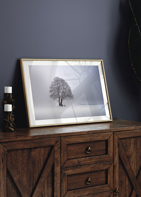 Winter light Plakat - Posterbox