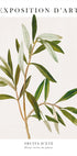 Olive Poster - Posterbox.dk