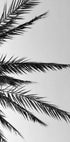 Palm Leaves Poster - Posterbox.dk