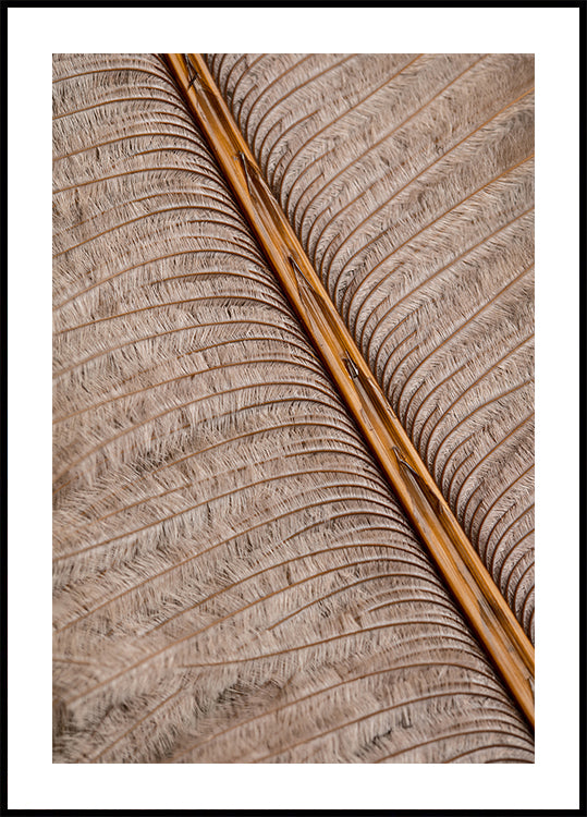 Feather_007 Plakat - Posterbox