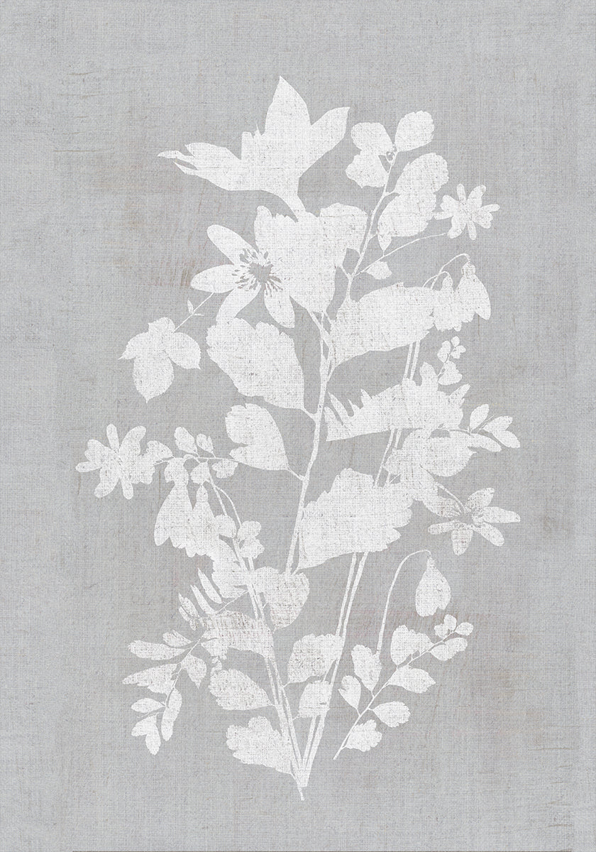 Botanical Illustration 2 Poster