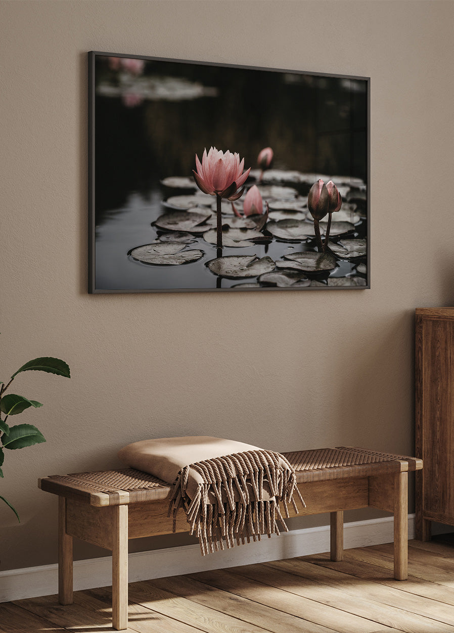 Pink Lotus Flowers Poster - Posterbox.dk
