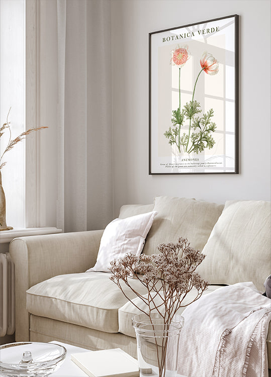 Anemones Poster - Posterbox.dk