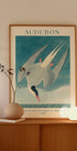 Arctic Tern from Birds of America Audubon Poster - Posterbox.dk
