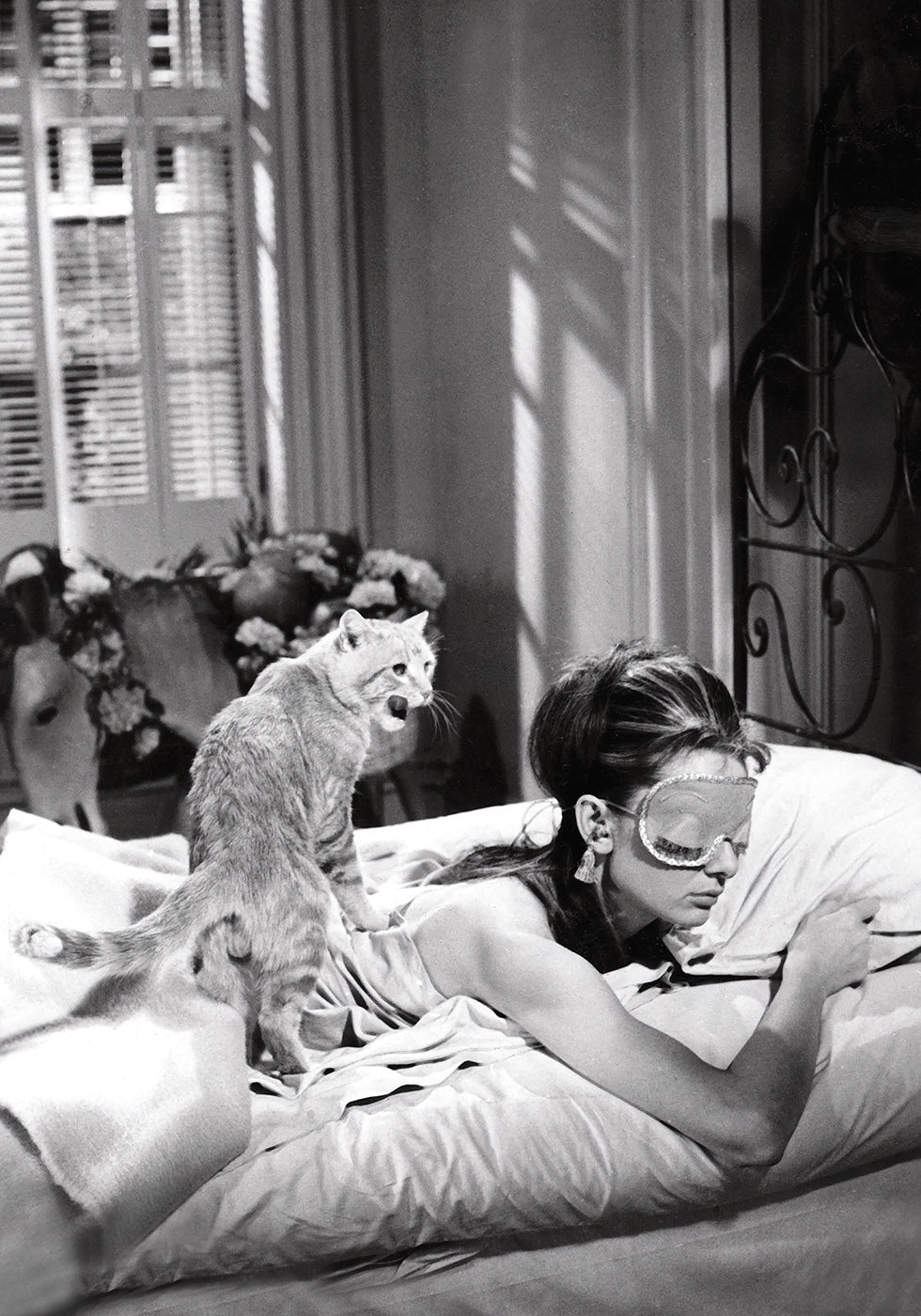 Audrey Hepburn Sleeping With Cat Poster - Posterbox.dk