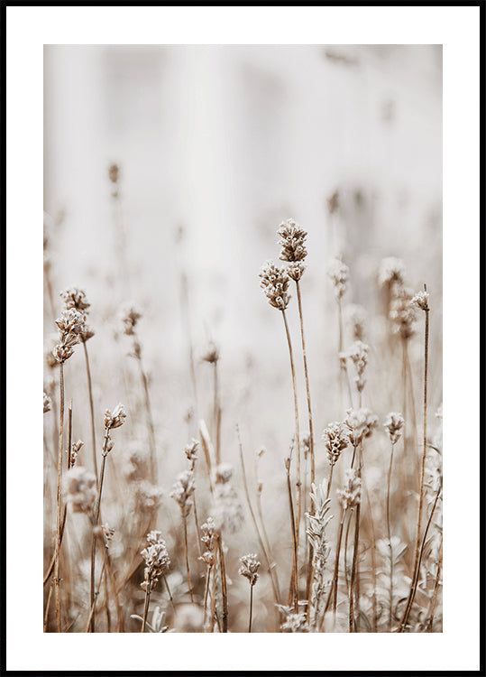Autumn Dried Flowers Poster - Posterbox.dk