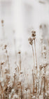 Autumn Dried Flowers Poster - Posterbox.dk