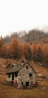 Autumn Mountain Cabin Poster - Posterbox.dk