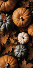 Autumn Pumpkins and Leaves Poster - Posterbox.dk