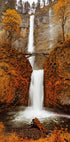 Autumn Waterfall in the Forest Poster - Posterbox.dk