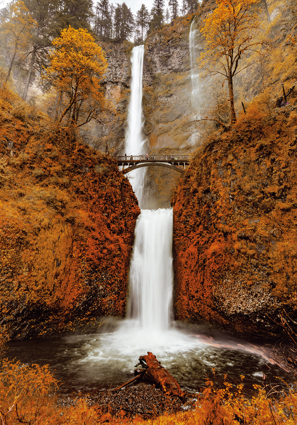 Autumn Waterfall in the Forest Poster - Posterbox.dk