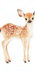 Baby Deer With Spots Poster - Posterbox.dk