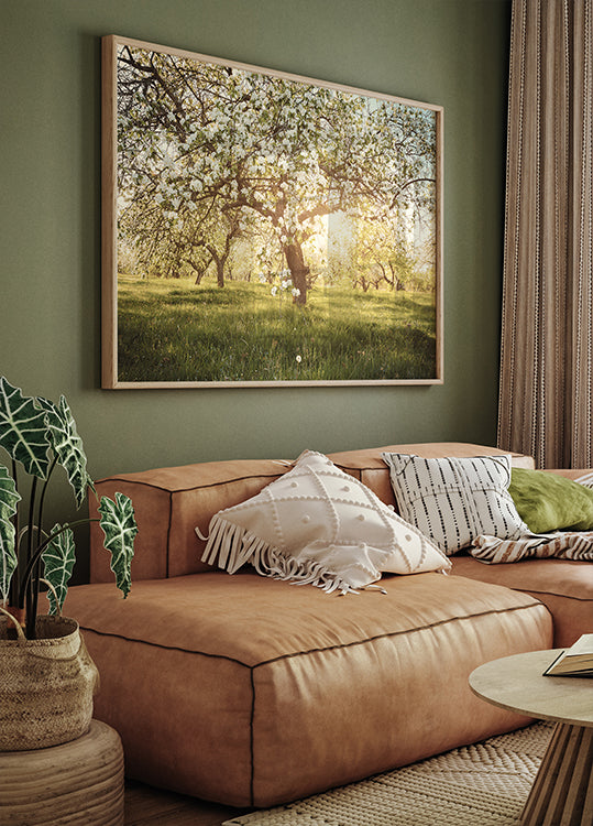 Blooming Cherry Orchard Poster - Posterbox.dk