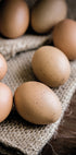 Brown Organic Eggs Poster - Posterbox.dk