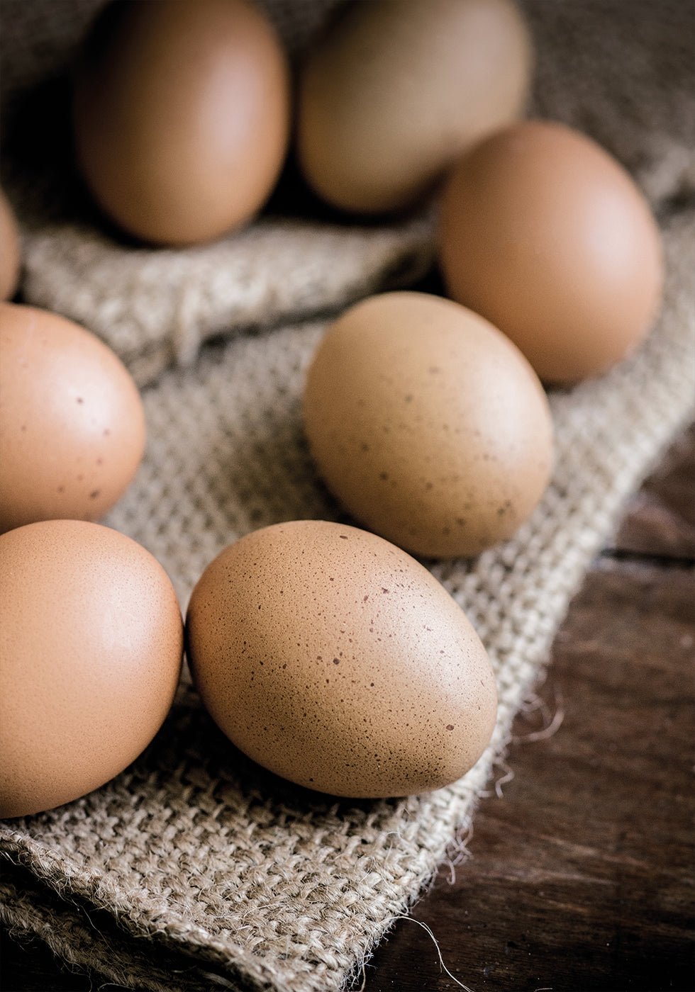 Brown Organic Eggs Poster - Posterbox.dk