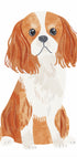 Cavalier Spaniel Dog Poster - Posterbox.dk