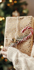 a person holding a wrapped present in front of a Christmas tree
