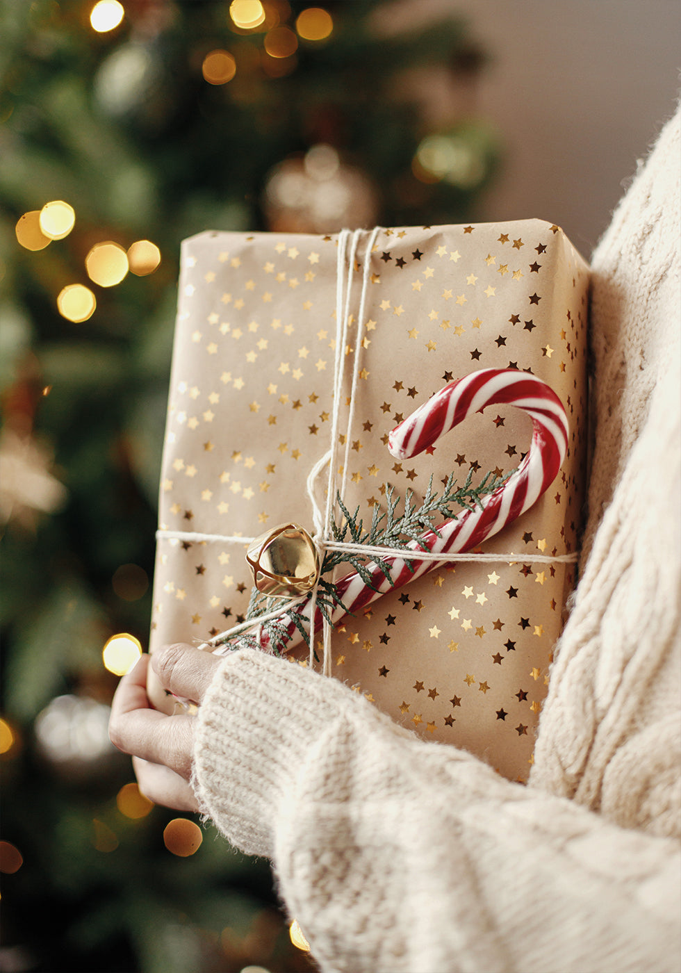 a person holding a wrapped present in front of a Christmas tree