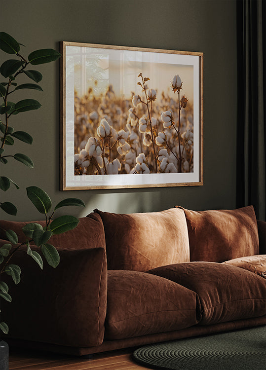 Cotton Flowers at Sunset Poster - Posterbox.dk