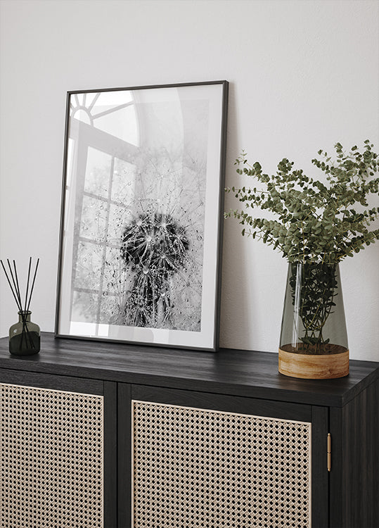 Dandelion Flower with Dew Poster - Posterbox.dk