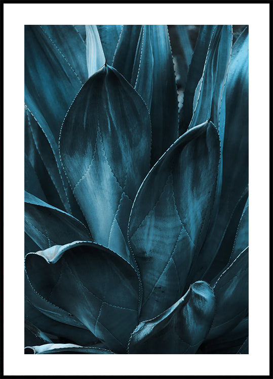 Dark Blue Agave Leaves Poster - Posterbox.dk