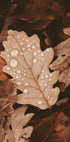 Dew-Dappled Autumn Leaves Poster - Posterbox.dk