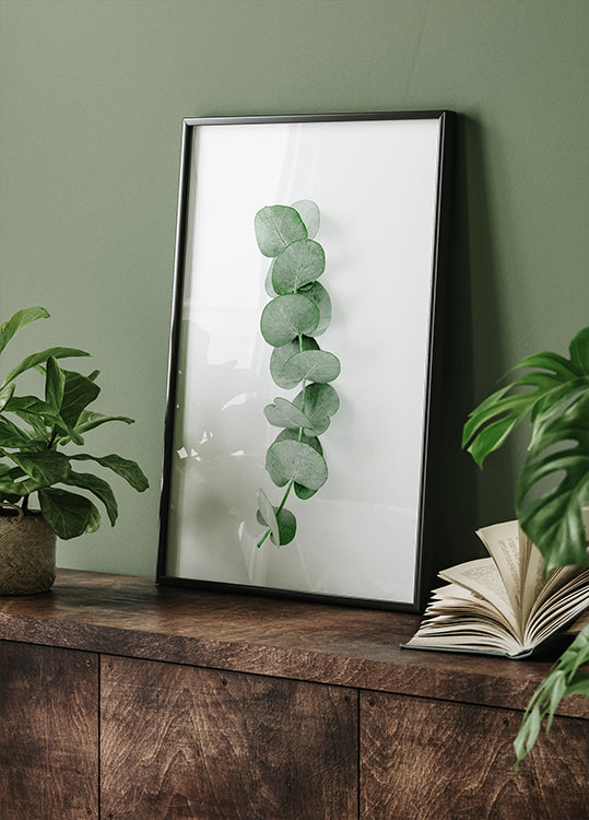 Eucalyptus Leaf Poster - Posterbox.dk