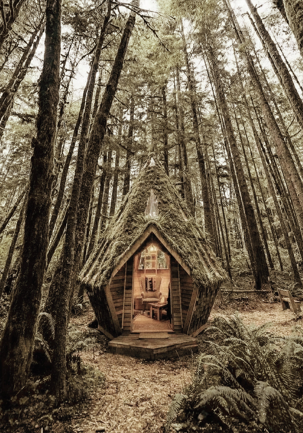 Fairy Tale Cabin in the Woods Poster - Posterbox.dk