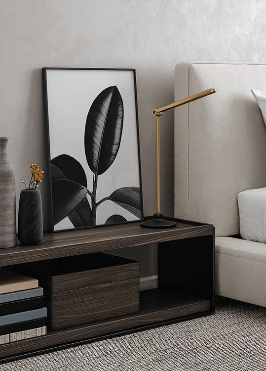 Ficus Leaves in Black & White Poster - Posterbox.dk