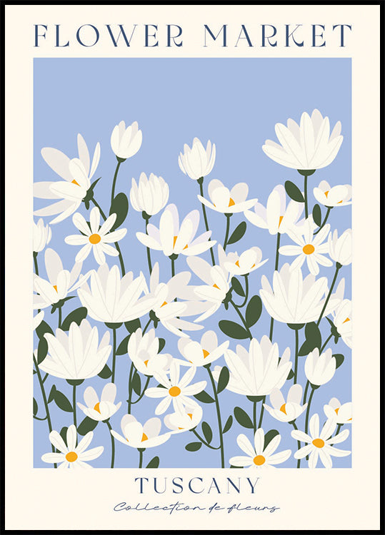 Flower Market, Tuscany daisy field Poster - Posterbox.dk