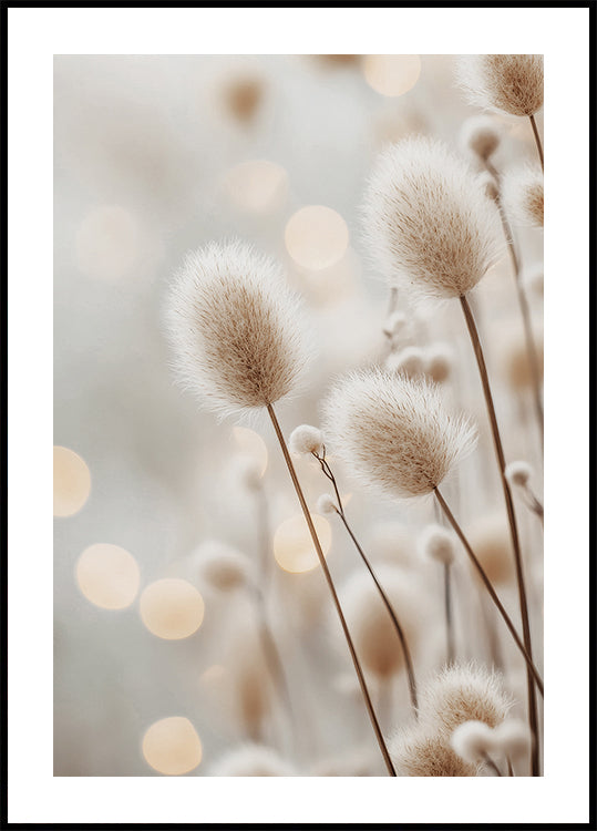 Fluffy Plant Stems Poster - Posterbox.dk