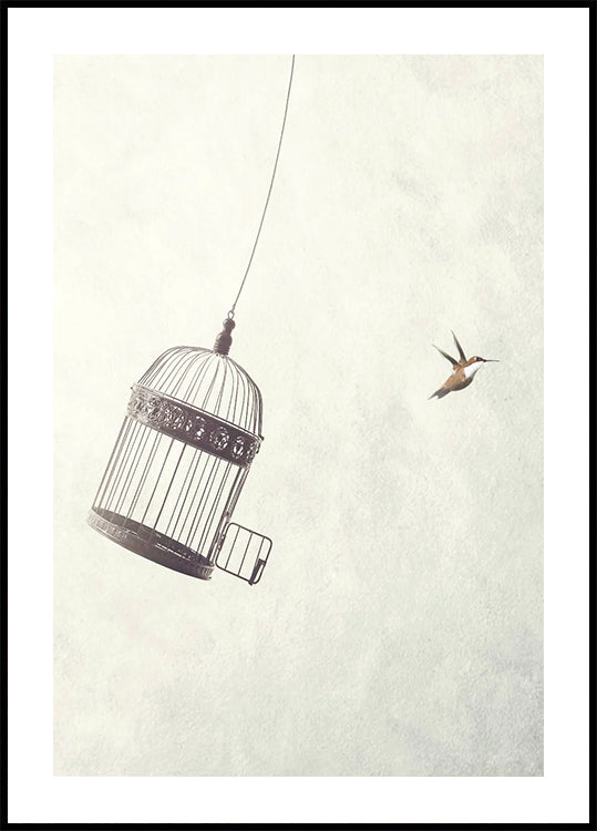 Flying Towards Freedom Poster - Posterbox.dk