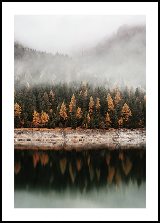 Foggy Autumn Forest Near the Lake Poster - Posterbox.dk